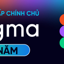Nâng Cấp Figma 1 Năm